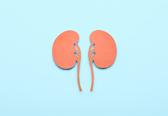 Paper kidneys with pills on blue background