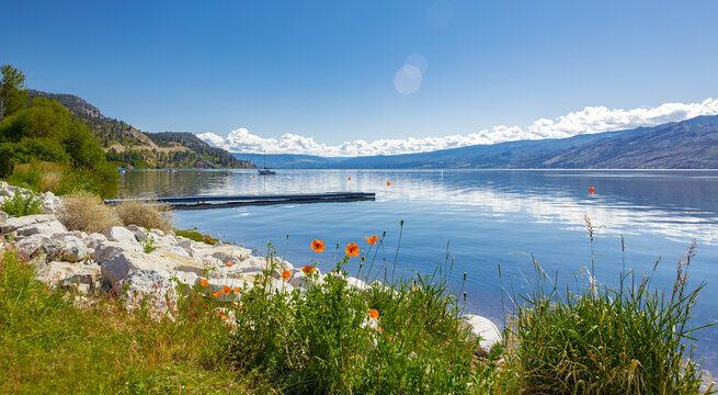 Beautiful summer landscape of a lake and mountains in the background in early morning in Canada