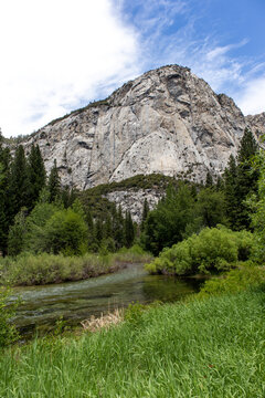 Meadow View - Kings Canyon Park, California