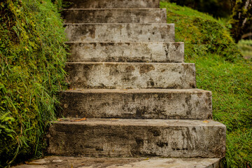 stone steps in the park