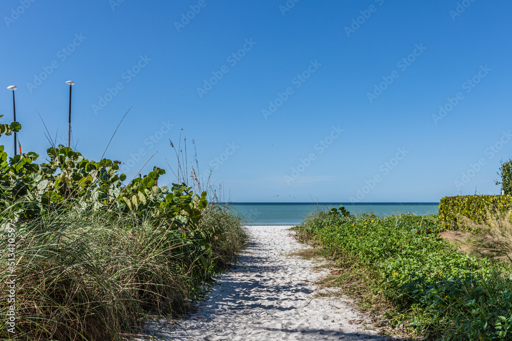 Wall mural path to the sea