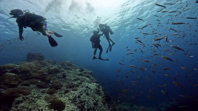 Under water film - First time divers and pro diving master surrounded by fish an corals at Sail Rock Island in Thailand