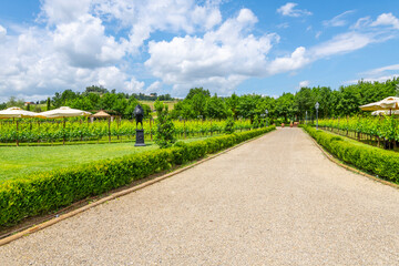 A picturesque winery and vineyard in the rural Tuscan countryside.