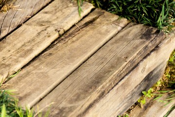 grass and wooden fence