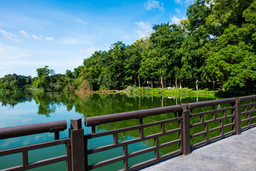 Fototapeta premium A bridge across the river in the forest park..