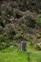 Flores y plantas silvestres en los andes del Per&uacute;