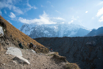 Fotografías del Camino inca en Machupicchu, Perú.