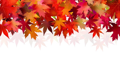 紅葉　もみじ　秋　背景