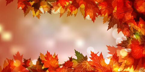 紅葉　もみじ　秋　背景