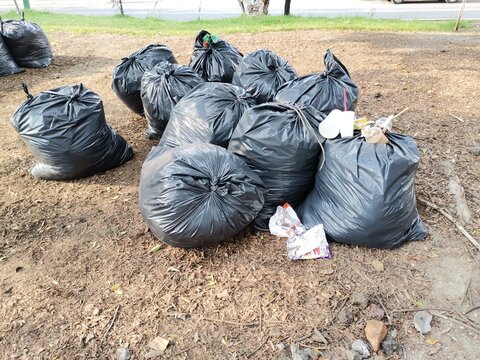 Bolsas de basura en naturaleza. 
