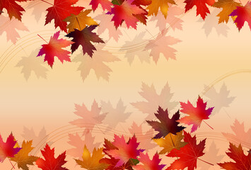 紅葉　もみじ　秋　背景