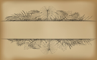 drawing nature leaf rainforest on frame vintage