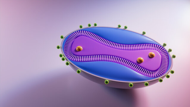 3D Illustration showing the Cell Structure of the Monkeypox Virus. 3D Render with Copy-Space.
