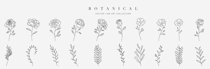 Wild flowers vector collection.  herbs, herbaceous flowering plants, blooming flowers, subshrubs isolated on white background. Hand drawn detailed botanical vector illustration. © TWINS DESIGN STUDIO