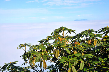 peak mountain with sunlight cloud fog and bright blue sky