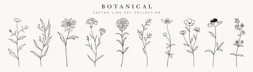 Fotobehang Wild flowers vector collection.  herbs, herbaceous flowering plants, blooming flowers, subshrubs isolated on white background. Hand drawn detailed botanical vector illustration. © TWINS DESIGN STUDIO