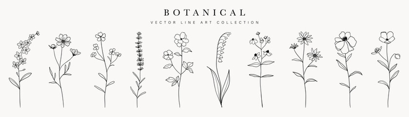 Wild flowers vector collection.  herbs, herbaceous flowering plants, blooming flowers, subshrubs isolated on white background. Hand drawn detailed botanical vector illustration. - obrazy, fototapety, plakaty
