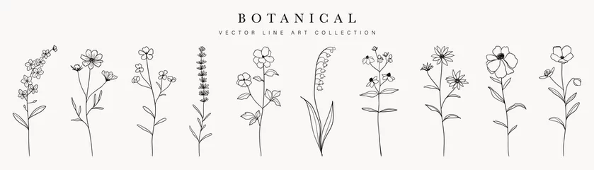 Deurstickers Wild flowers vector collection.  herbs, herbaceous flowering plants, blooming flowers, subshrubs isolated on white background. Hand drawn detailed botanical vector illustration. © TWINS DESIGN STUDIO