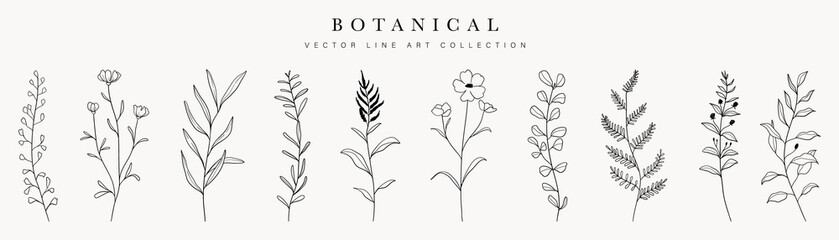 Wild flowers vector collection.  herbs, herbaceous flowering plants, blooming flowers, subshrubs isolated on white background. Hand drawn detailed botanical vector illustration.