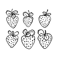 Strawberry black and white outline illustrations isolated