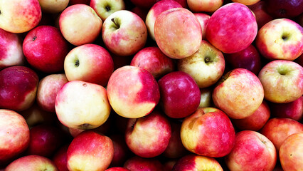 Natural background with ripe red and yellow apples