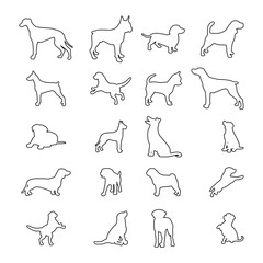 Vector silhouette of dog on white background