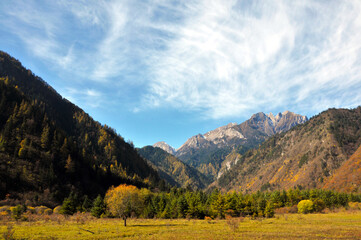Beauty in nature,Jiuzhaigou valley Scenic,Sichuan,China
