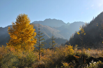 Fototapeta premium autumn in the mountains