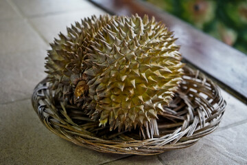 Durian delicacy. Tropical fruit with sharp skin, and a strong but very delicious aroma