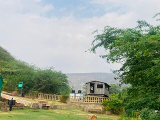 Obraz premium Beautiful green garden with tropical trees in India