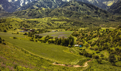 landscape in the mountains