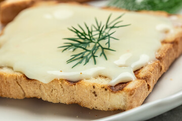 Fresh sandwich with cream cheese and butter for breakfast. melted cheese sandwich on light background. Food recipe background. Close up