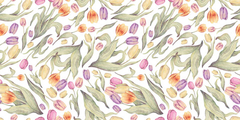 Watercolor floral hand drawn seamless pattern with illustration of blossom pink, yellow, purple tulips bouquet. Colorful spring flowers, buds wallpaper. Garden elements isolated on white background