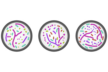 Set of 3 petri dish icons. Colorful simple illustration with bacterial cells.