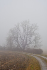 Herbstliche nebelige Landschaft 4