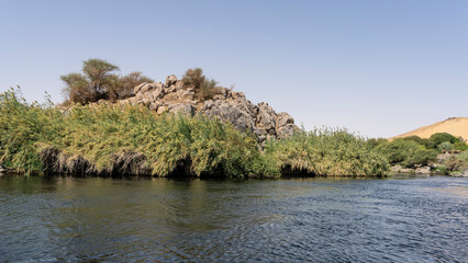 There are dense thickets of reeds on the banks of the Nile. A rocky hill and a sand dune against a clear azure sky. Ripples on the blue water of the river. Egypt. Aswan