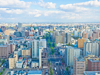 Fototapeta premium The view of Odori park and Sapporo cityscape from the Sapporo Tower.