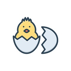 Color illustration icon for beginner