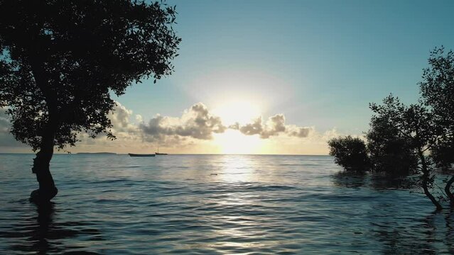 Aerial Drone Footage Flying By Trees Growing Out Of Water Over Calm Ocean Surface Waves Into Beautiful Sunset In Vilanculos Bazaruto Archipelago, Mozambique, Africa.