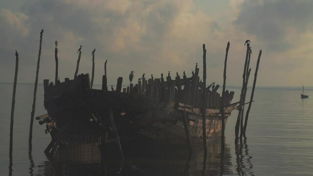 Seabirds Resting On Old Broken Down Boat Remains In Dim Foggy Cloudy Sunset Setting. Vilanculos Bazaruto Archipelago, Mozambique, Africa.