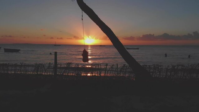 Epic Aerial Drone Shot Flying By Woman Swinging On Palm Tree Swing In Tropical Beach Setting During Gorgeous Golden Hour Sunset In Vilanculos Bazaruto Archipelago, Mozambique, Africa.