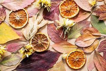Obraz na płótnie Canvas Dried autumn colour leaves and flowers. Fall background, creative layout.