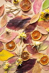 Dried autumn colour leaves and flowers. Fall background, creative layout.