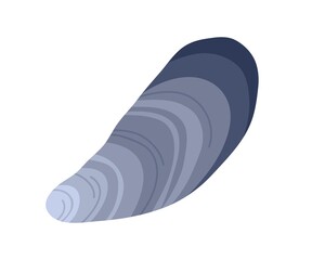 Mussel, sea clam. Closed seashell, mollusk. Marine mussle mollusc. Undersea shellfish, shell. Flat vector illustration isolated on white background