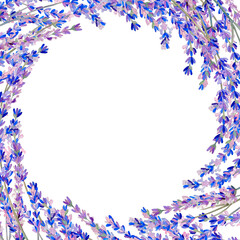 Watercolor lavender flowers card and invitation template. Hand drawn wedding letterhead. Provence style celebration design. Purple wildflowers illustration.