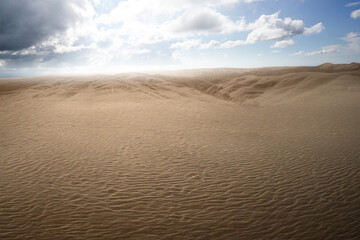 Views of sand dune