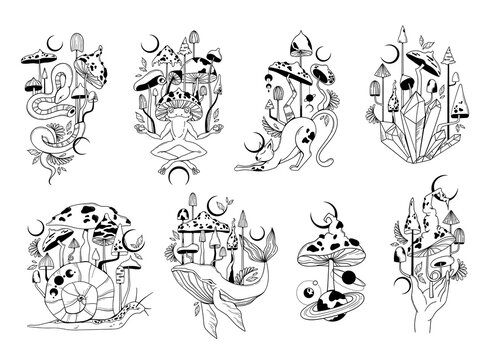 Mystical animals and magic mushrooms isolated clip art bundle, hand drawn mysterious compositions with celestial crystals, snake, frog, cat, whale, snail and mushrooms on white background, vector