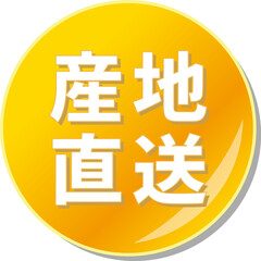 「産地直送」の文字が描かれたオレンジ色の缶バッチアイコンのベクターイラスト