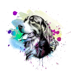 Ingelijste posters colored artistic English Cocker Spaniel dog isolated on white background © reznik_val