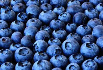 Closeup view of fresh ripe appetizing blue blueberry fruits. vegan lifestyle concept. filled frame....